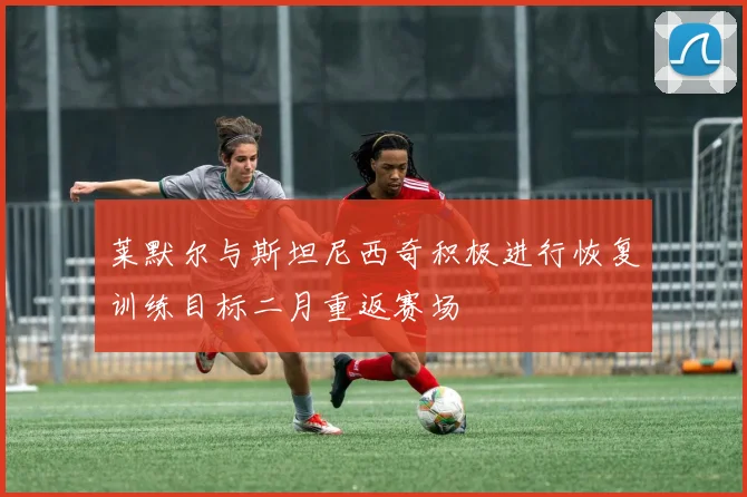 莱默尔与斯坦尼西奇积极进行恢复训练目标二月重返赛场